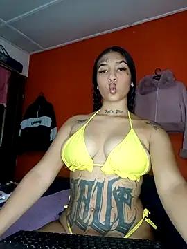Check-out our cam rooms range and converse on a personal level with our delicious livecams streamers, showing off their spicy curves and toys.