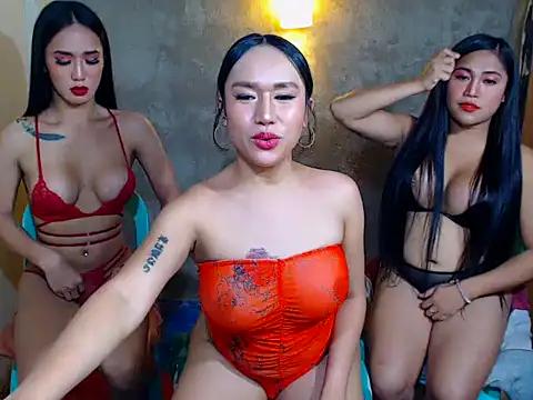 Check-out our cam rooms range and converse on a personal level with our delicious livecams streamers, showing off their spicy curves and toys.