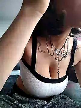 Check-out our cam rooms range and converse on a personal level with our delicious livecams streamers, showing off their spicy curves and toys.
