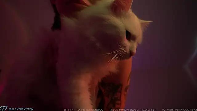 AlexTheKitten from StripChat is Freechat