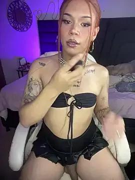 Check-out our cam rooms range and converse on a personal level with our delicious livecams streamers, showing off their spicy curves and toys.