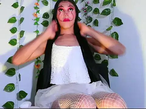 Check-out our cam rooms range and converse on a personal level with our delicious livecams streamers, showing off their spicy curves and toys.