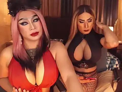Check-out our cam rooms range and converse on a personal level with our delicious livecams streamers, showing off their spicy curves and toys.