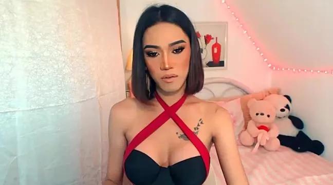 Check-out our cam rooms range and converse on a personal level with our delicious livecams streamers, showing off their spicy curves and toys.