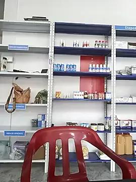 Check-out our cam rooms range and converse on a personal level with our delicious livecams streamers, showing off their spicy curves and toys.