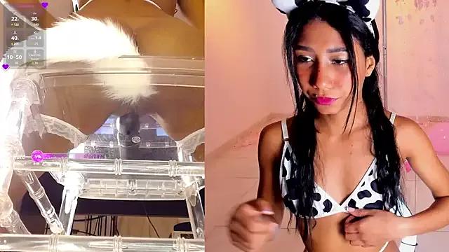 Check-out our cam rooms range and converse on a personal level with our delicious livecams streamers, showing off their spicy curves and toys.