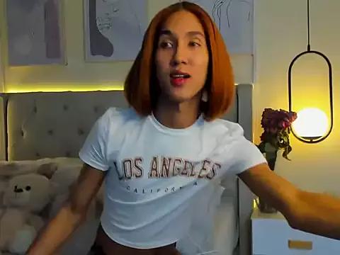 Check-out our cam rooms range and converse on a personal level with our delicious livecams streamers, showing off their spicy curves and toys.