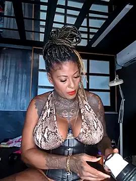 Check-out our cam rooms range and converse on a personal level with our delicious livecams streamers, showing off their spicy curves and toys.