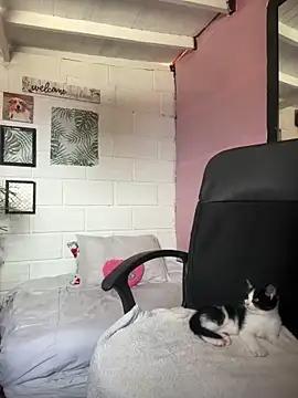 Check-out our cam rooms range and converse on a personal level with our delicious livecams streamers, showing off their spicy curves and toys.