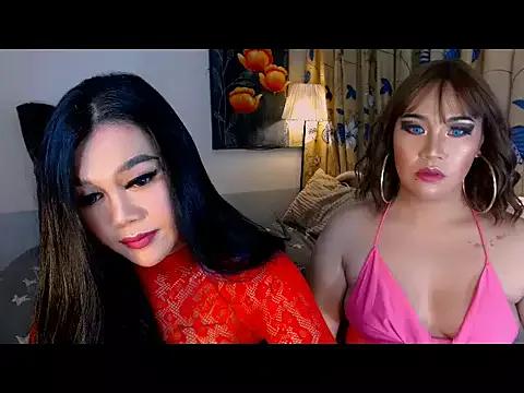 Check-out our cam rooms range and converse on a personal level with our delicious livecams streamers, showing off their spicy curves and toys.