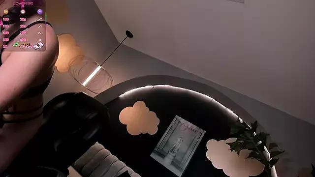 Check-out our cam rooms range and converse on a personal level with our delicious livecams streamers, showing off their spicy curves and toys.