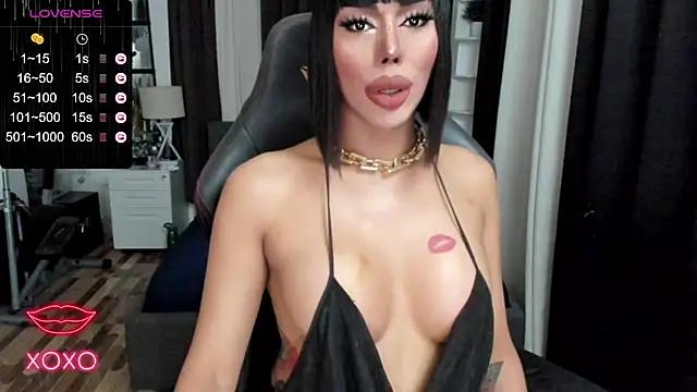 Check-out our cam rooms range and converse on a personal level with our delicious livecams streamers, showing off their spicy curves and toys.