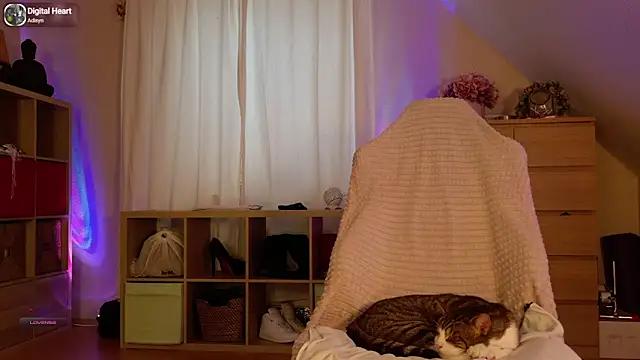 Check-out our cam rooms range and converse on a personal level with our delicious livecams streamers, showing off their spicy curves and toys.
