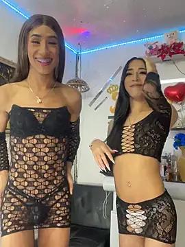 Check-out our cam rooms range and converse on a personal level with our delicious livecams streamers, showing off their spicy curves and toys.