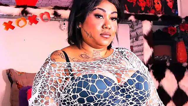 Check-out our cam rooms range and converse on a personal level with our delicious livecams streamers, showing off their spicy curves and toys.