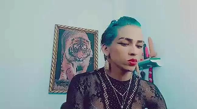 Check-out our cam rooms range and converse on a personal level with our delicious livecams streamers, showing off their spicy curves and toys.