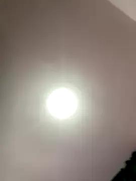 JuanitaMore01 from StripChat is Freechat