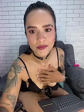 Check-out our cam rooms range and converse on a personal level with our delicious livecams streamers, showing off their spicy curves and toys.