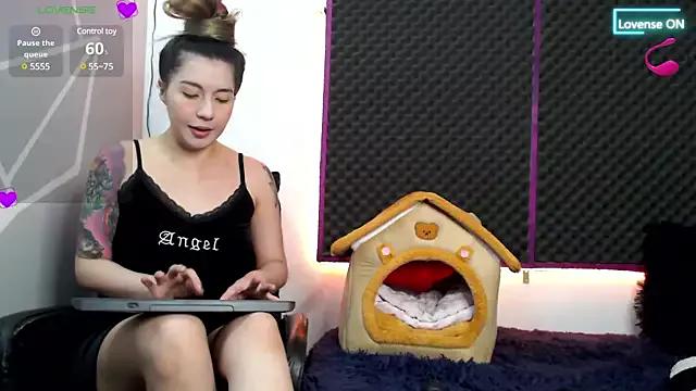 Check-out our cam rooms range and converse on a personal level with our delicious livecams streamers, showing off their spicy curves and toys.