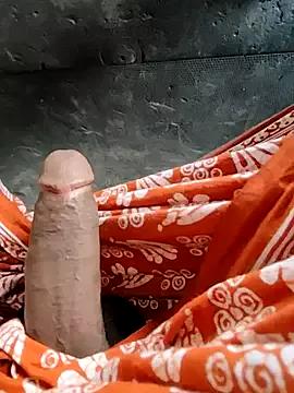 Kolkata___Boy from StripChat