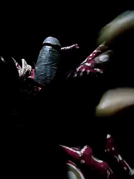 Kolkata___Boy from StripChat