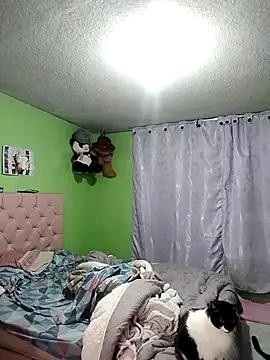 Check-out our cam rooms range and converse on a personal level with our delicious livecams streamers, showing off their spicy curves and toys.