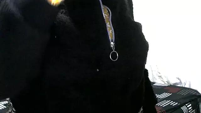 LadyLillyX from StripChat is Freechat