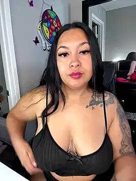 Check-out our cam rooms range and converse on a personal level with our delicious livecams streamers, showing off their spicy curves and toys.
