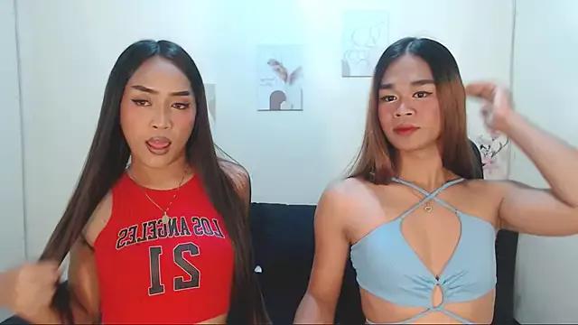 Check-out our cam rooms range and converse on a personal level with our delicious livecams streamers, showing off their spicy curves and toys.