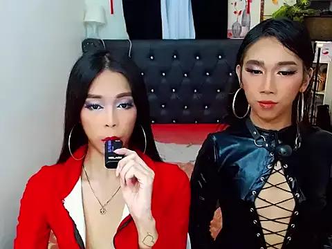 Check-out our cam rooms range and converse on a personal level with our delicious livecams streamers, showing off their spicy curves and toys.