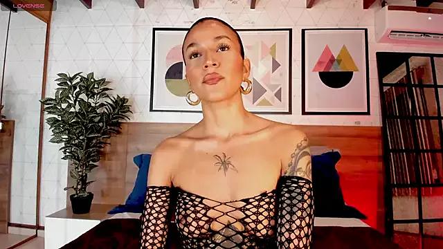 Check-out our cam rooms range and converse on a personal level with our delicious livecams streamers, showing off their spicy curves and toys.