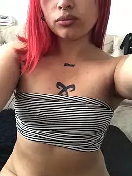 Check-out our cam rooms range and converse on a personal level with our delicious livecams streamers, showing off their spicy curves and toys.