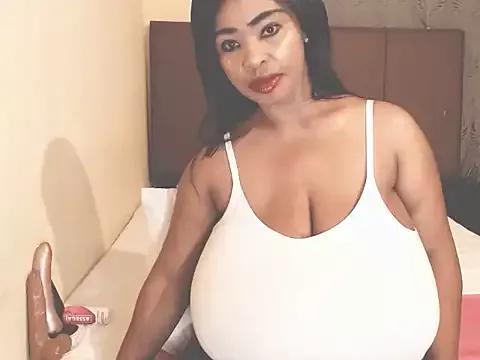 Check-out our cam rooms range and converse on a personal level with our delicious livecams streamers, showing off their spicy curves and toys.