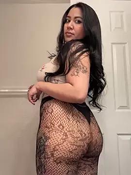 Check-out our cam rooms range and converse on a personal level with our delicious livecams streamers, showing off their spicy curves and toys.