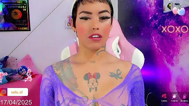 Check-out our cam rooms range and converse on a personal level with our delicious livecams streamers, showing off their spicy curves and toys.