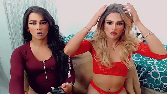 Check-out our cam rooms range and converse on a personal level with our delicious livecams streamers, showing off their spicy curves and toys.