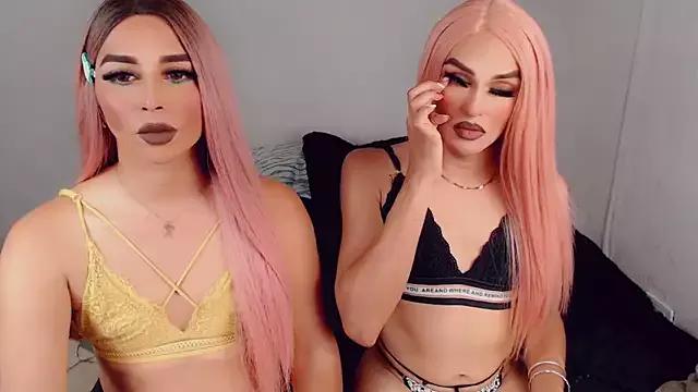 Check-out our cam rooms range and converse on a personal level with our delicious livecams streamers, showing off their spicy curves and toys.