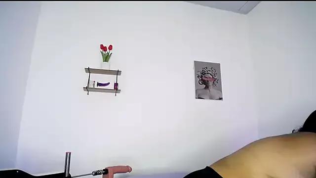 Check-out our cam rooms range and converse on a personal level with our delicious livecams streamers, showing off their spicy curves and toys.