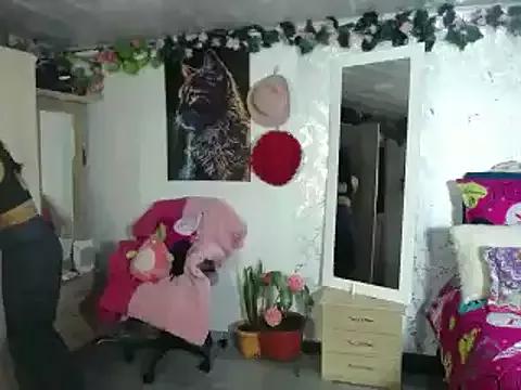 Check-out our cam rooms range and converse on a personal level with our delicious livecams streamers, showing off their spicy curves and toys.