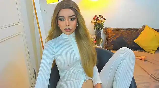 Check-out our cam rooms range and converse on a personal level with our delicious livecams streamers, showing off their spicy curves and toys.