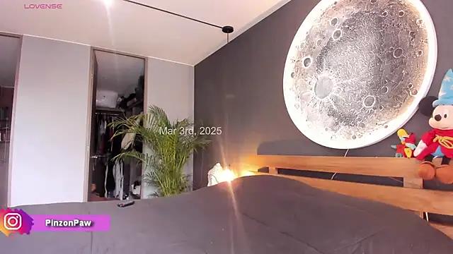 Check-out our cam rooms range and converse on a personal level with our delicious livecams streamers, showing off their spicy curves and toys.