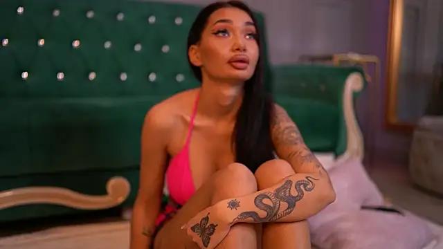 Check-out our cam rooms range and converse on a personal level with our delicious livecams streamers, showing off their spicy curves and toys.