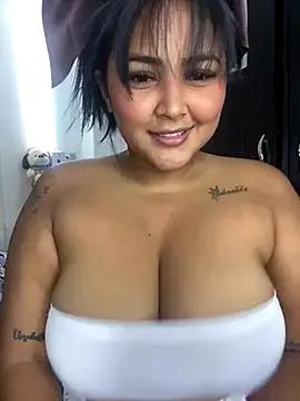Check-out our cam rooms range and converse on a personal level with our delicious livecams streamers, showing off their spicy curves and toys.
