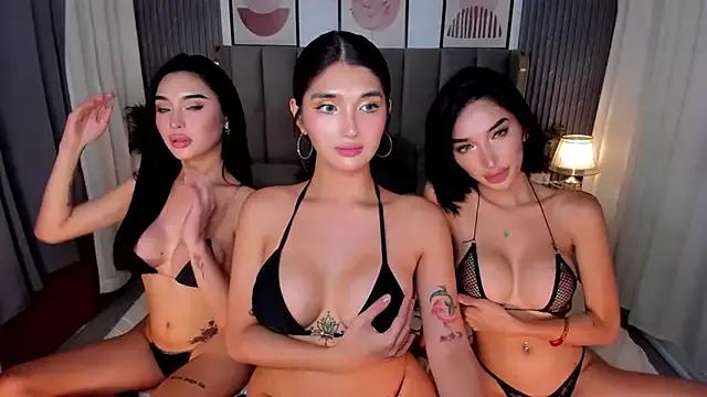 Check-out our cam rooms range and converse on a personal level with our delicious livecams streamers, showing off their spicy curves and toys.