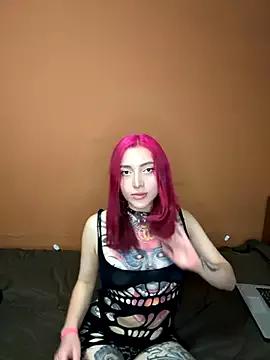 Check-out our cam rooms range and converse on a personal level with our delicious livecams streamers, showing off their spicy curves and toys.