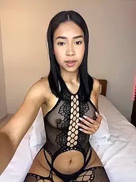 Check-out our cam rooms range and converse on a personal level with our delicious livecams streamers, showing off their spicy curves and toys.