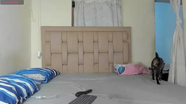 Check-out our cam rooms range and converse on a personal level with our delicious livecams streamers, showing off their spicy curves and toys.