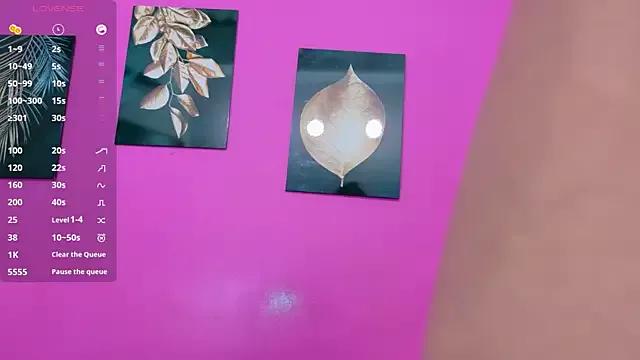 Check-out our cam rooms range and converse on a personal level with our delicious livecams streamers, showing off their spicy curves and toys.