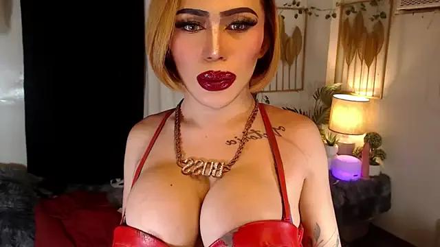 Check-out our cam rooms range and converse on a personal level with our delicious livecams streamers, showing off their spicy curves and toys.