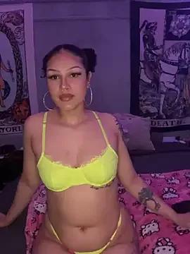 Check-out our cam rooms range and converse on a personal level with our delicious livecams streamers, showing off their spicy curves and toys.